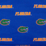 Florida Gators Two Piece Chair Cushion