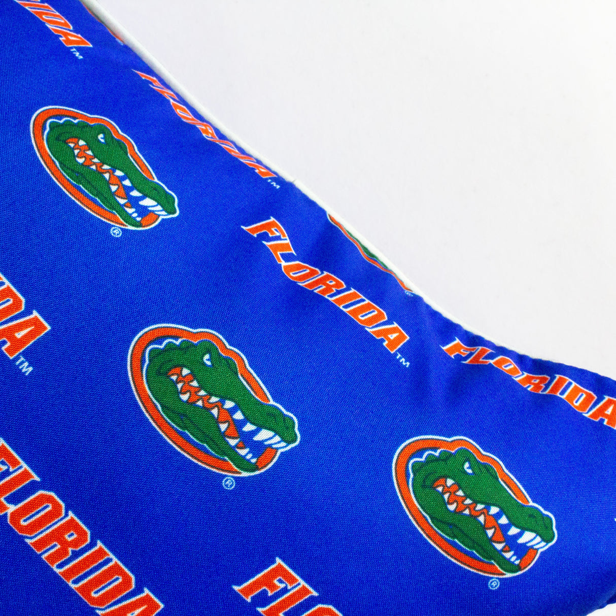 Florida Gators Decorative Pillow