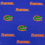 Florida Gators Futon Cover