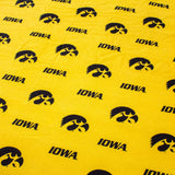 Iowa Hawkeyes Futon Cover