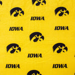 Iowa Hawkeyes Futon Cover