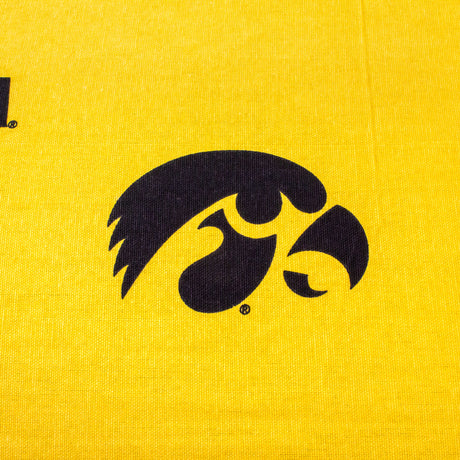 Iowa Hawkeyes Futon Cover
