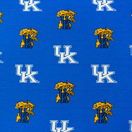 Kentucky Wildcats Futon Cover