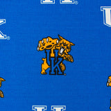 Kentucky Wildcats Futon Cover