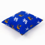 Kentucky Wildcats Outdoor Decorative Pillow