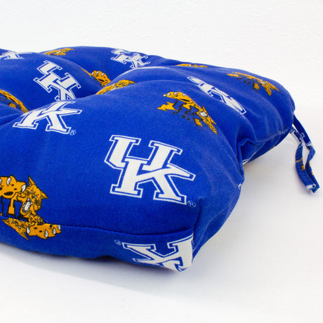 Kentucky Wildcats Settee Cushion