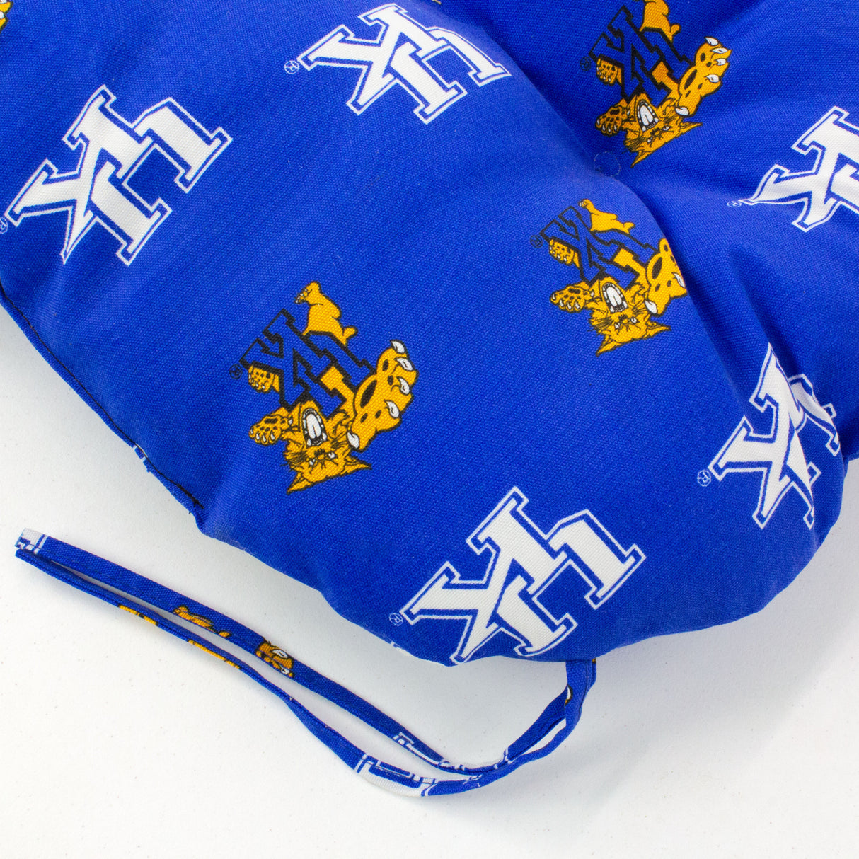 Kentucky Wildcats Settee Cushion