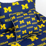Michigan Wolverines Decorative Pillow