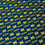 Michigan Wolverines Futon Cover
