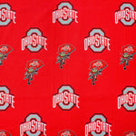 Ohio State Buckeyes Futon Cover