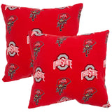 Ohio State Buckeyes Outdoor Decorative Pillow 16x16