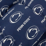 Penn State Nittany Lions Adirondack Cushion