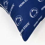 Penn State Nittany Lions Decorative Pillow