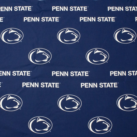 Penn State Nittany Lions Futon Cover