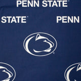 Penn State Nittany Lions Futon Cover