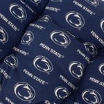 Penn State Nittany Lions Settee Cushion