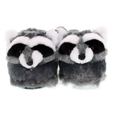 Raccoon