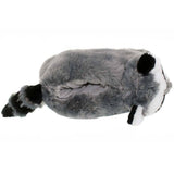 Raccoon