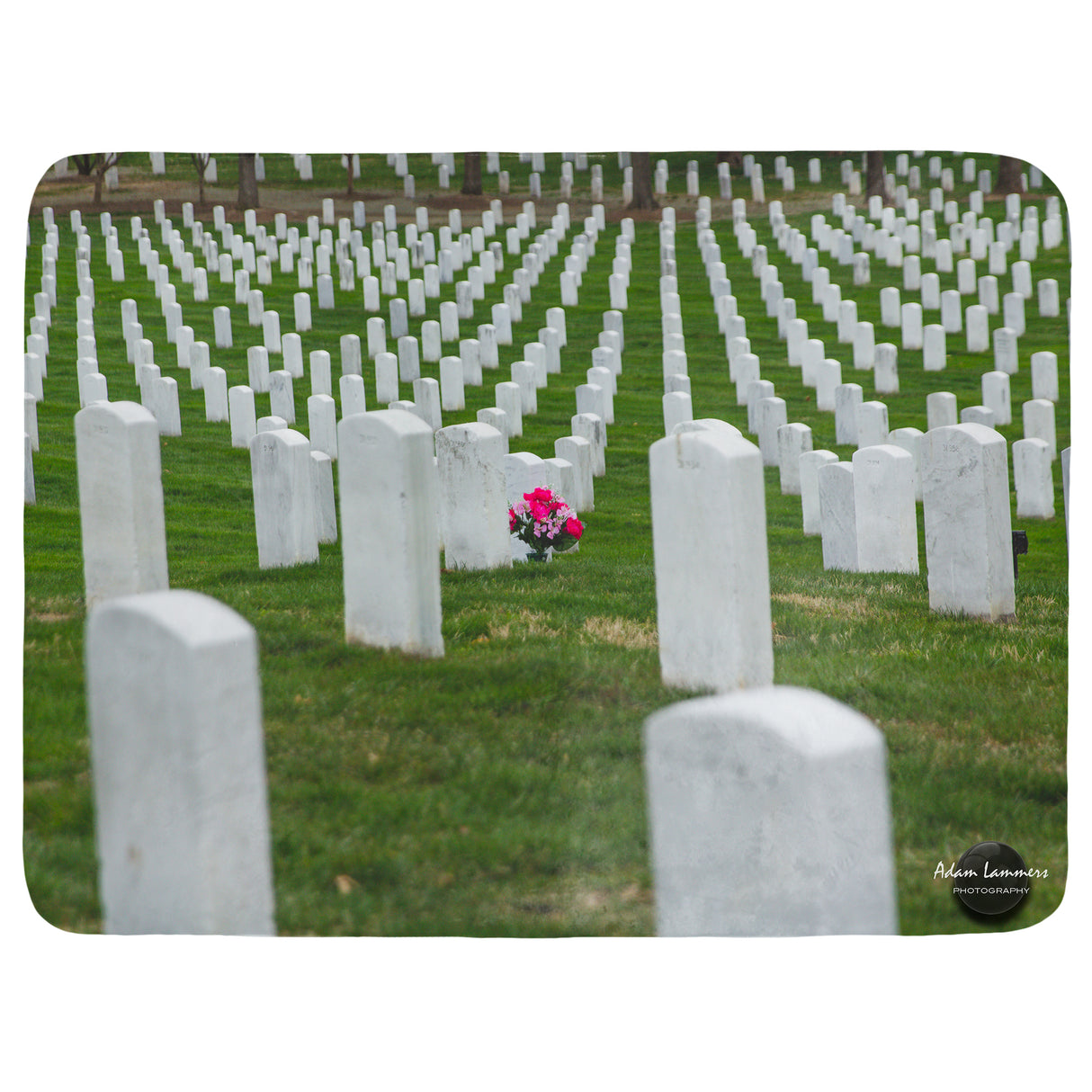 Arlington National Cemetery Throw Blanket