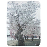 Cherry Tree at Tidal Basin Throw Blanket