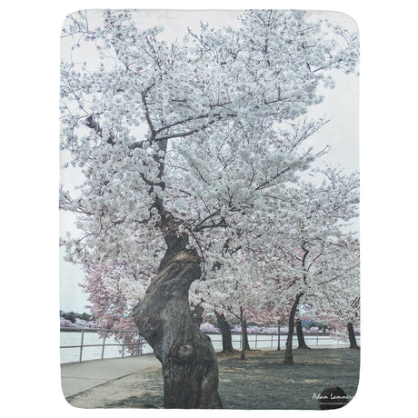 Cherry Tree at Tidal Basin Throw Blanket