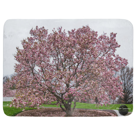 Magnolia Tree Throw Blanket
