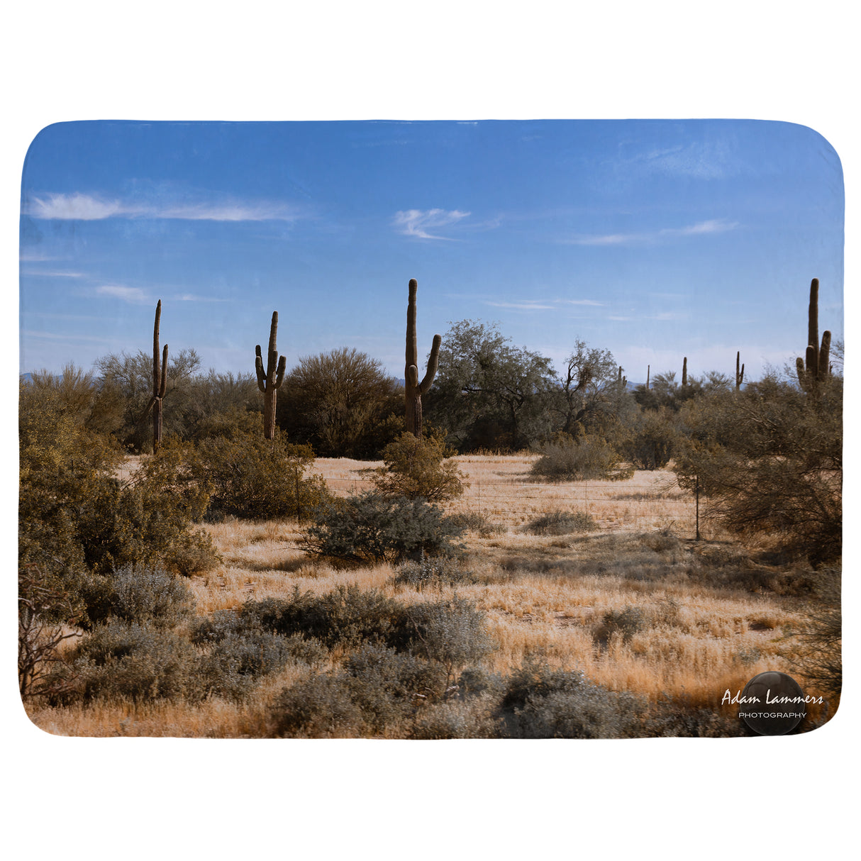 Sonoran Desert Saguaro Cactus Throw Blanket