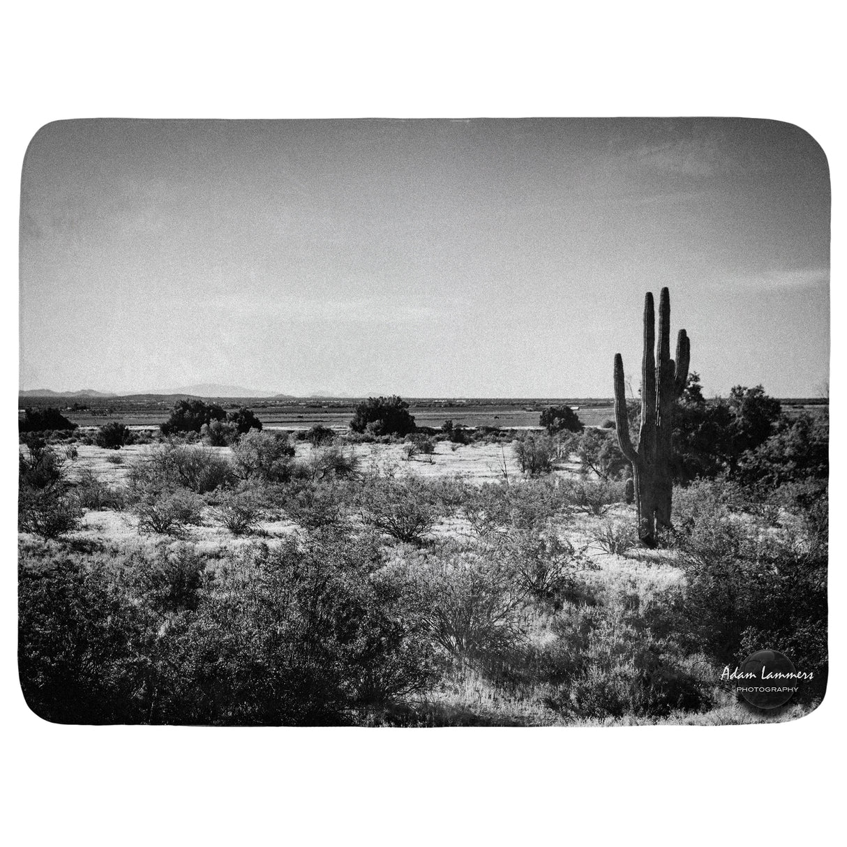 Sonoran Desert Saguaro Cactus Throw Blanket