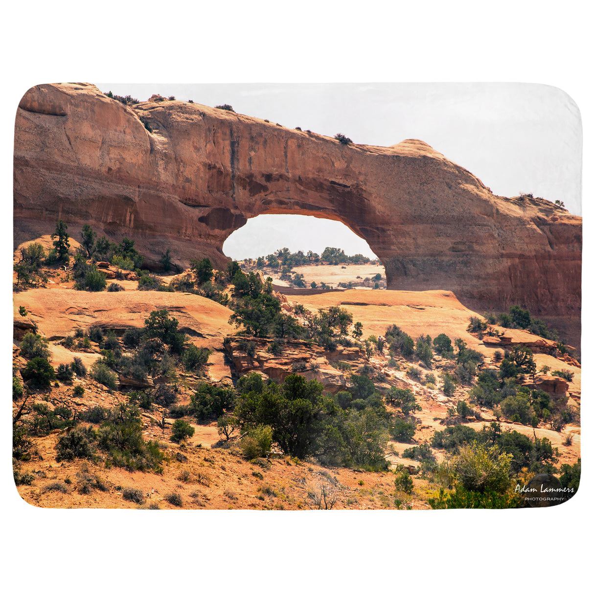 Wilson Arch Throw Blanket