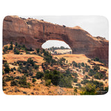 Wilson Arch Throw Blanket