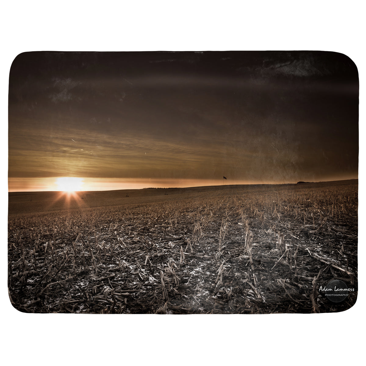 Cornfield Sunset after Harvest Throw Blanket