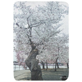Cherry Tree at Tidal Basin Throw Blanket