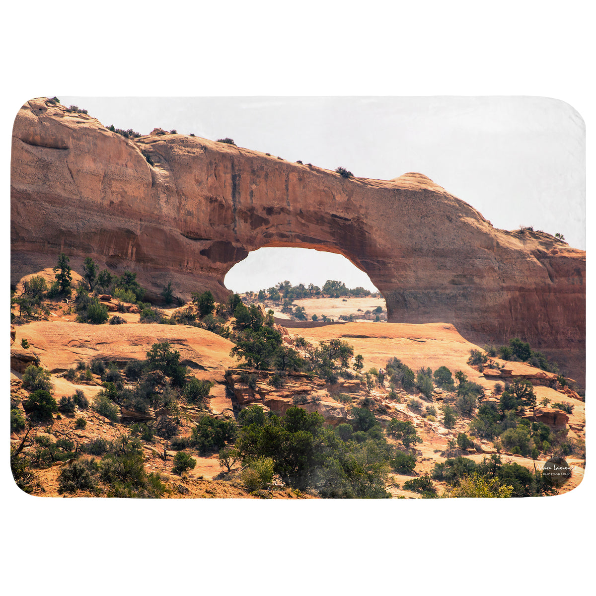 Wilson Arch Throw Blanket