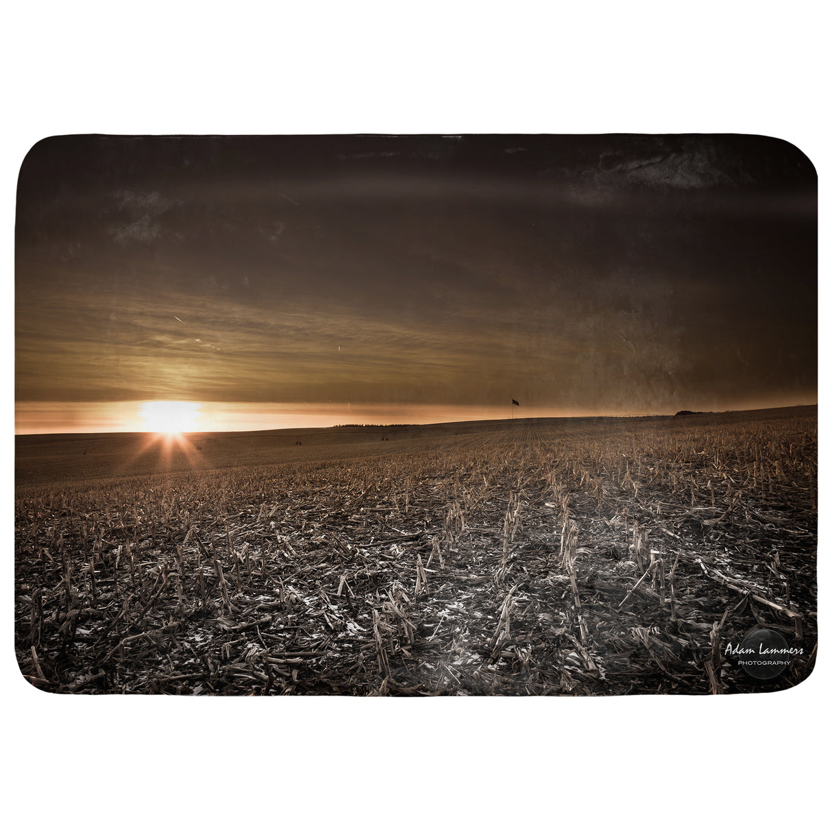 Cornfield Sunset after Harvest Throw Blanket