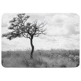 Landscape with Lone Tree Throw Blanket