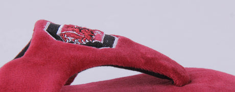 South Carolina Gamecocks Comfy Feet Flip Flop Slippers