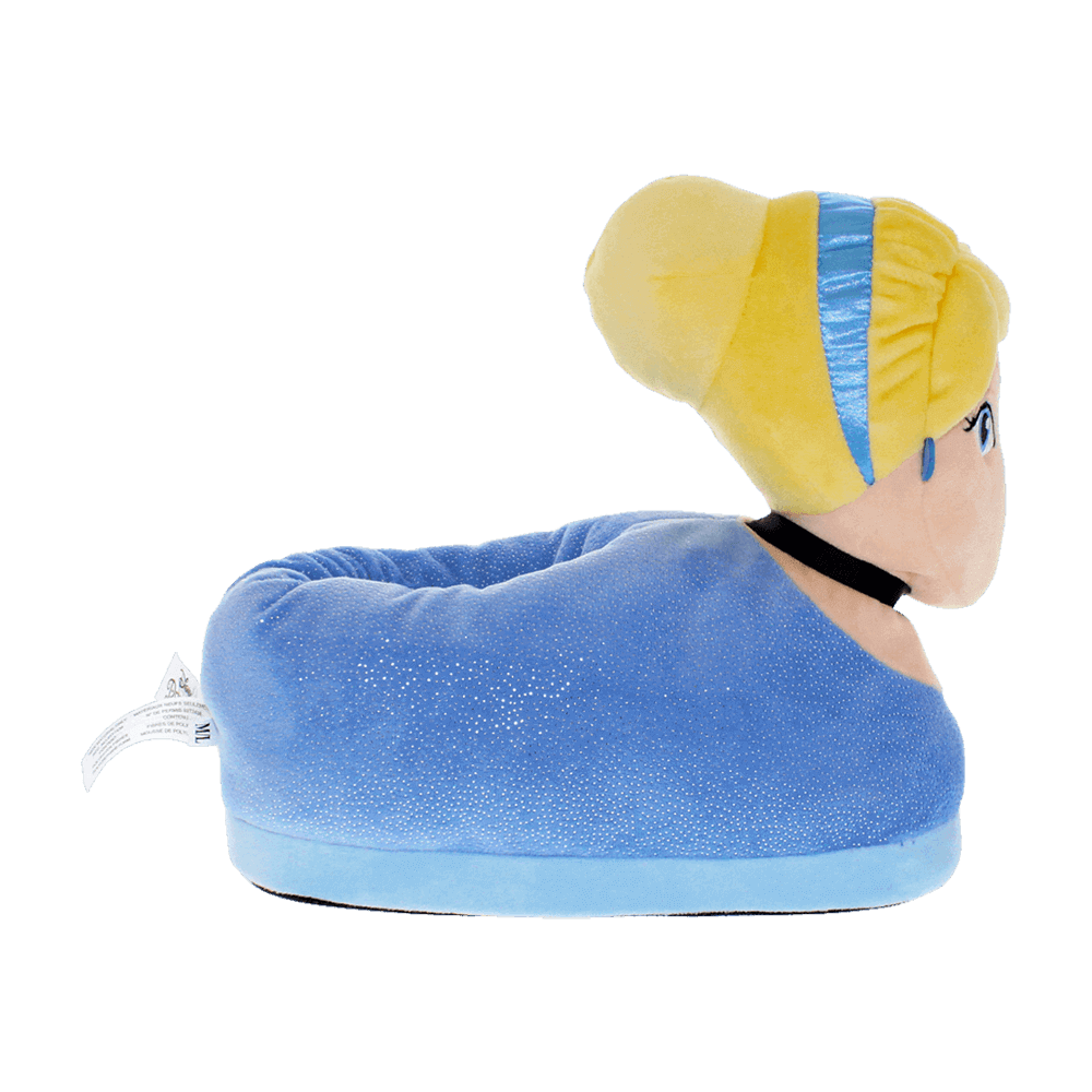 Cinderella Slippers