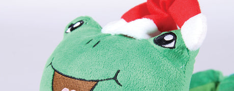 Frog Comfy Animal Slippers