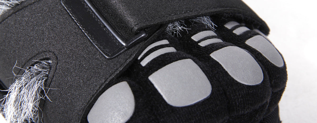 Gray and Black Hairy Feet