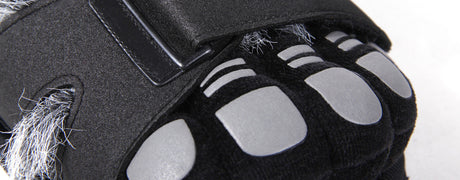Gray and Black Hairy Feet