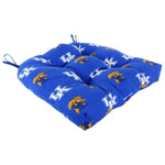 Kentucky Wildcats D Cushion