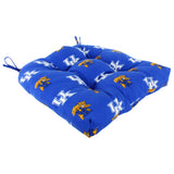 Kentucky Wildcats D Cushion