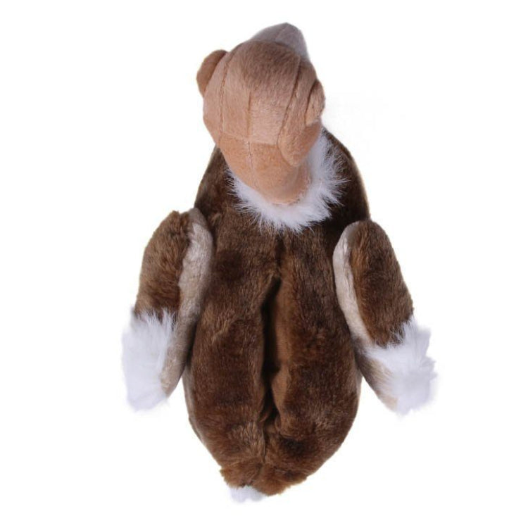 Ostrich