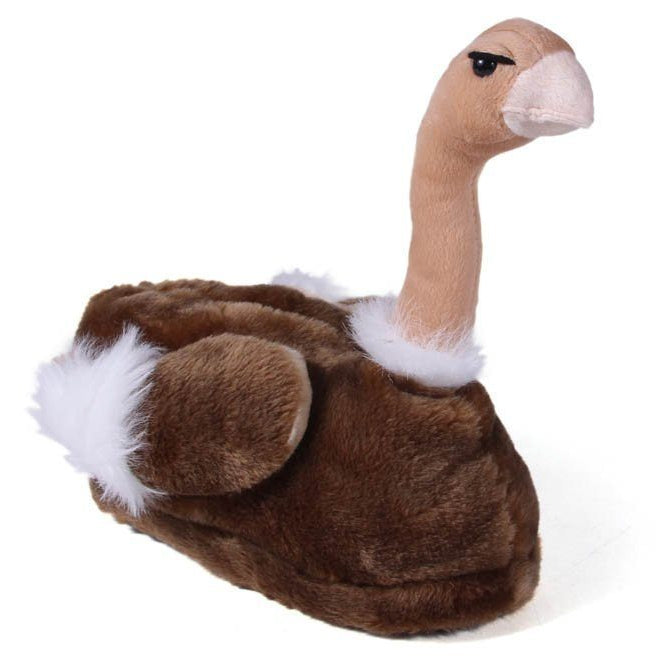 Ostrich