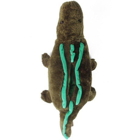 Alligator Comfy Animal Slippers