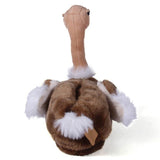 Ostrich