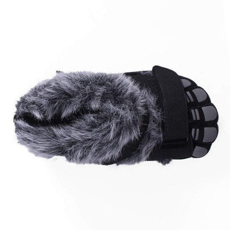 Gray and Black Hairy Feet