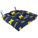 Michigan Wolverines D Cushion