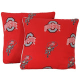 Ohio State Buckeyes Decorative Pillow