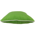 Celery Green Canvas Outdoor Decorative Pillow